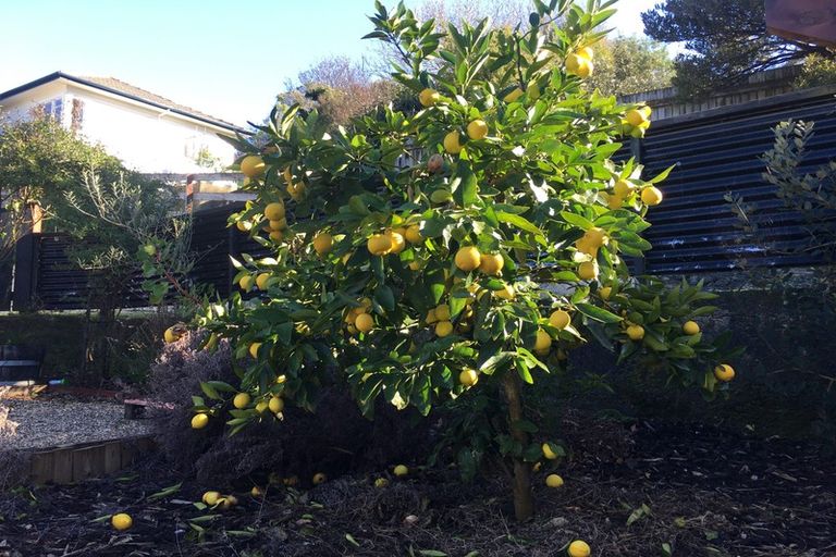 Photo of property in 50 Montreal Road, Washington Valley, Nelson, 7010