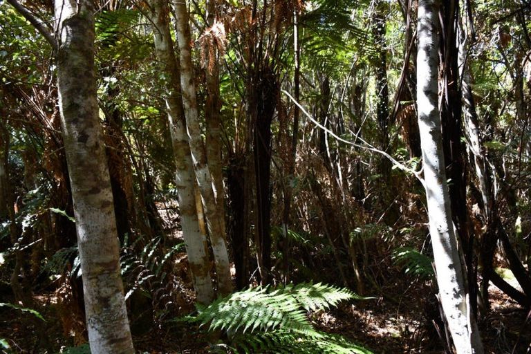 Photo of property in 78b Eco Place, Little Wanganui, Karamea, 7893