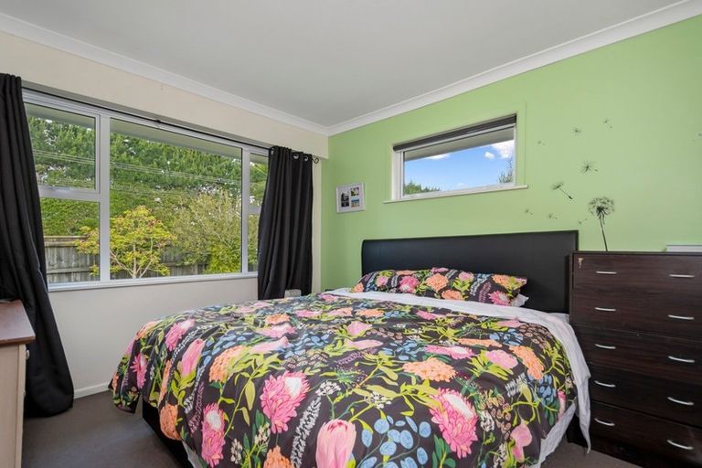Photo of property in 136 No 2 Road, Te Puke, 3182
