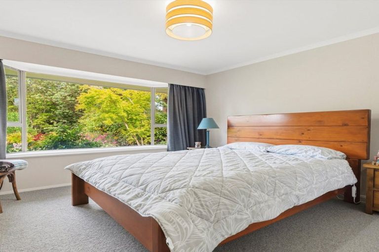 Photo of property in 41 Walmsley Road, Waihi, 3610
