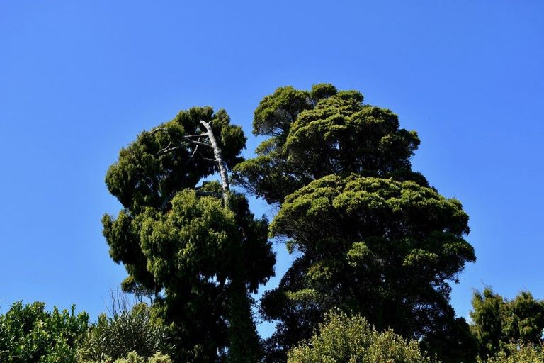 Photo of property in 37 South Terrace Road, Karamea, 7893