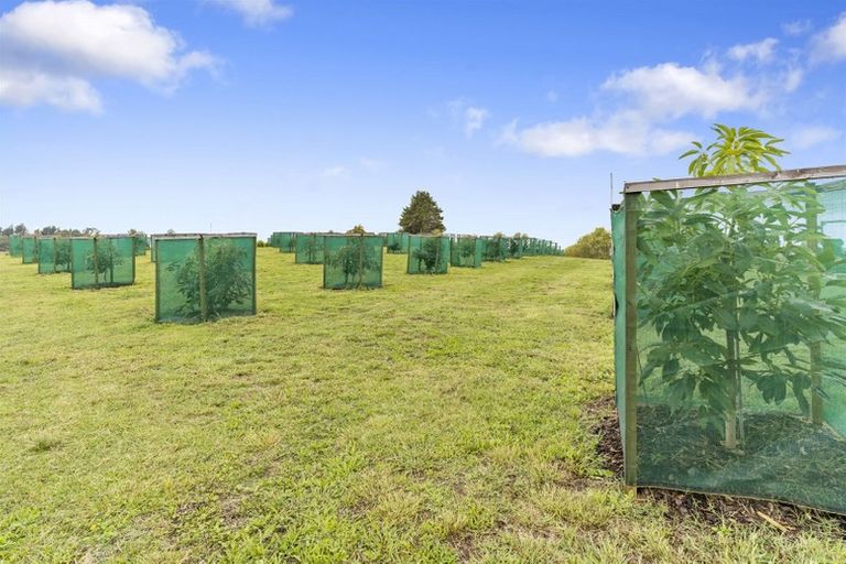 Photo of property in 196 Roydon Downs Road, Paengaroa, Te Puke, 3189