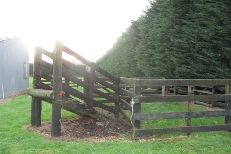 Photo of property in 32 Mcdonald Road, Levin, 5571