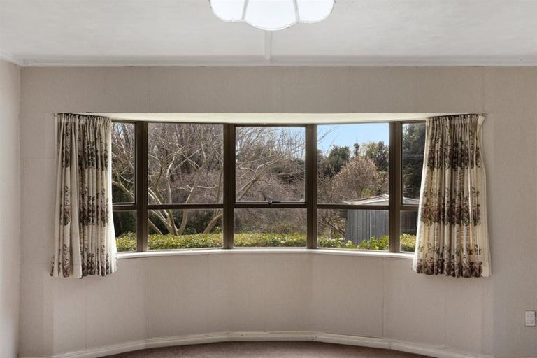Photo of property in 134d Cameron Road, Te Puke, 3119