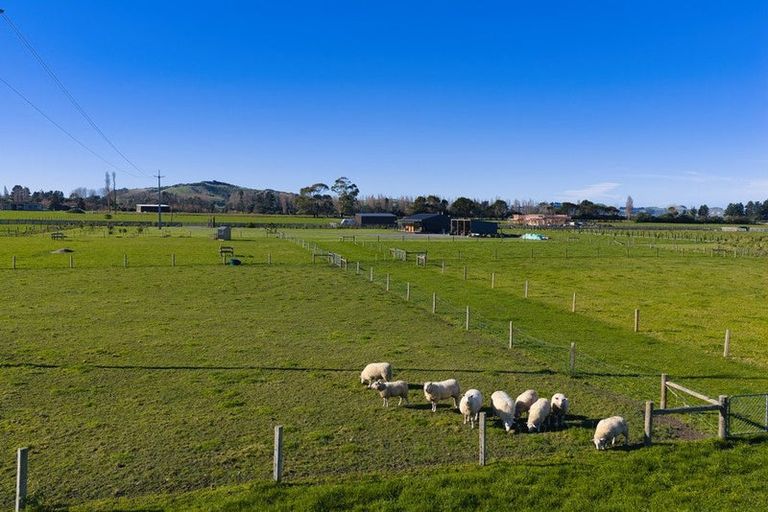 Photo of property in 12 Te Ao Wharepapa Lane, Peketa, Kaikoura, 7373