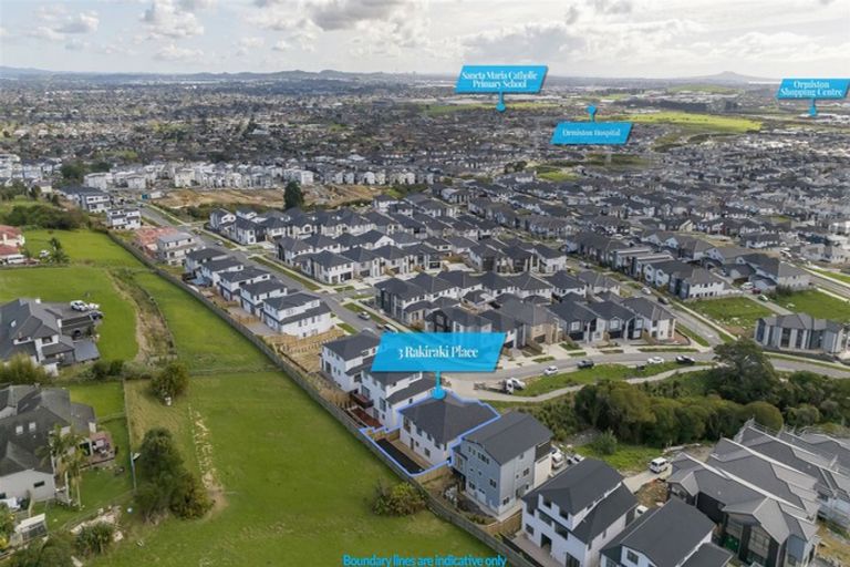 Photo of property in 3 Rakiraki Place, Flat Bush, Auckland, 2019