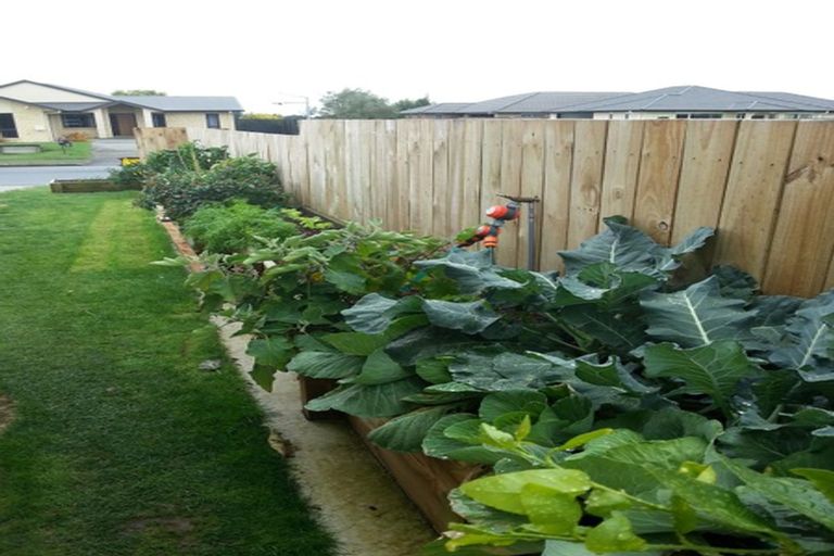 Photo of property in 14 Vogel Place, Te Aroha, 3320