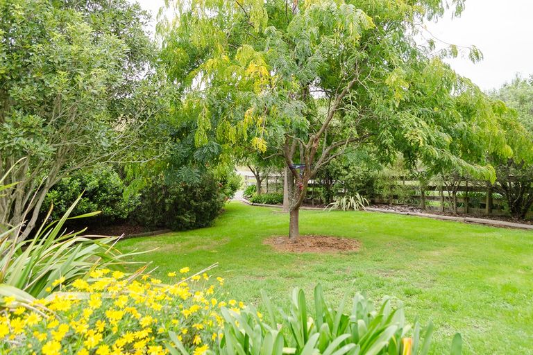 Photo of property in 478 Te Kopi Road, Te Whiti, Masterton, 5884