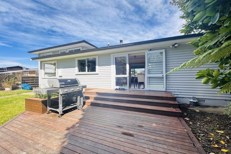 Photo of property in 60 Newcastle Street, Hokowhitu, Palmerston North, 4410