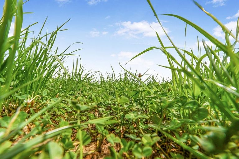 Photo of property in 64 Marshmeadow Road, Newstead, Hamilton, 3286