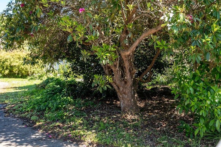 Photo of property in 15a Kent Street, Carterton, 5713