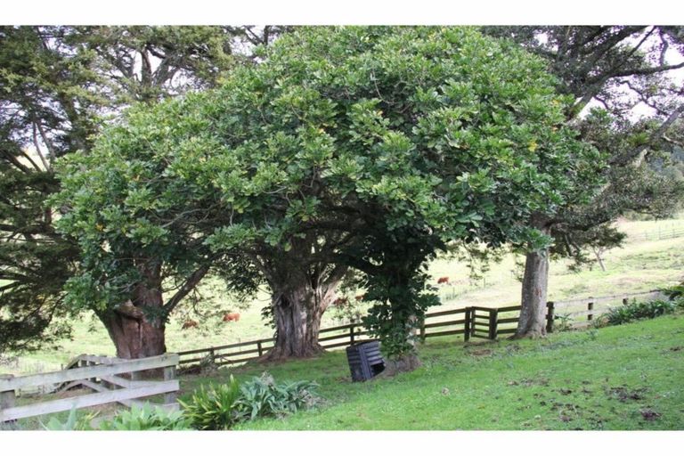 Photo of property in 262a Whau Valley Road, Whau Valley, Whangarei, 0112