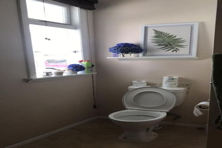 Photo of property in 57 Salisbury Street, Levin, 5510