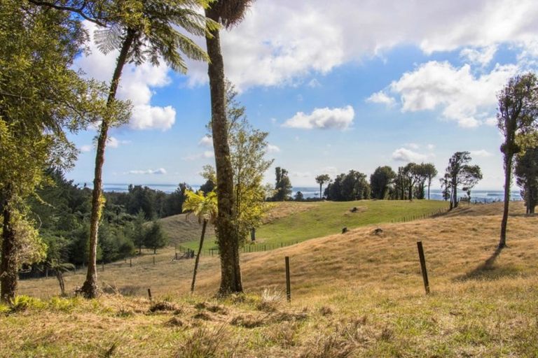 Photo of property in 1046 Work Road, Whakamarama, 3181