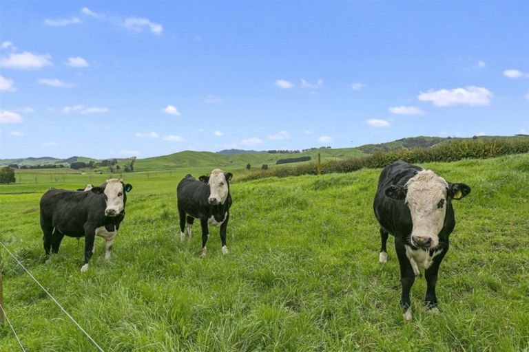 Photo of property in 273 Grice Road, Rotoorangi, Cambridge, 3495