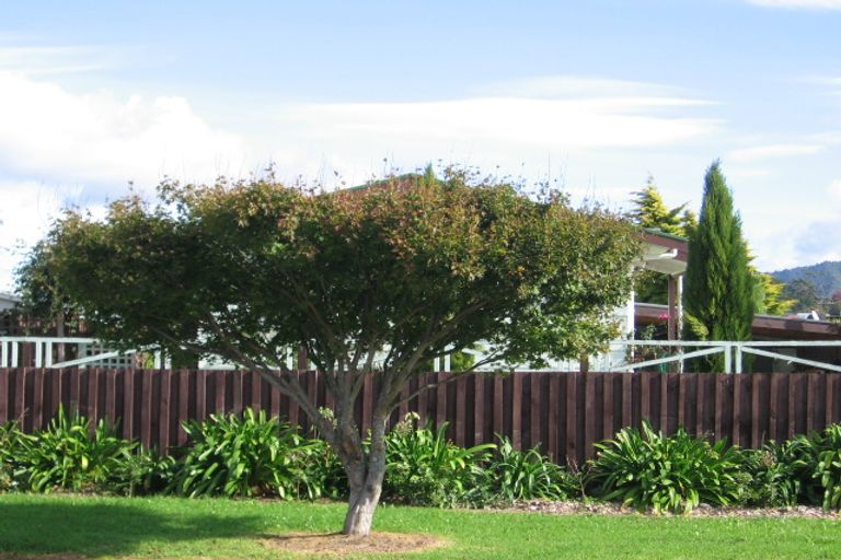 Photo of property in 26 Hindmarsh Street, Henderson, Auckland, 0612