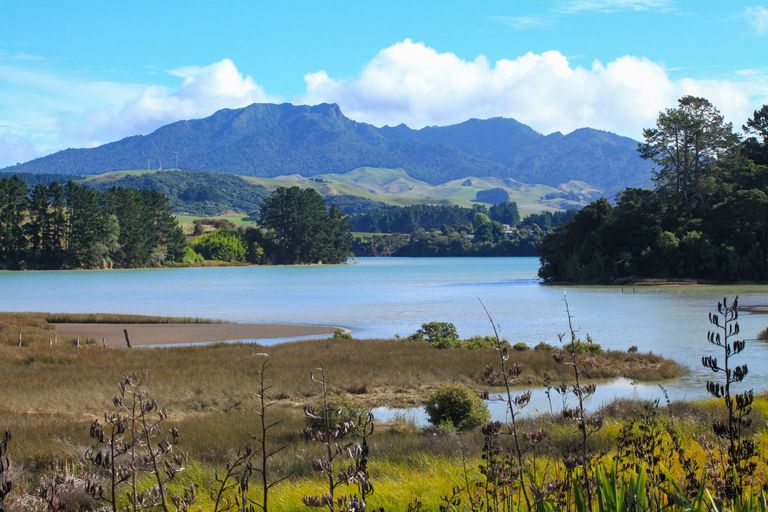 Photo of property in 19 Robertson Street, Raglan, 3225