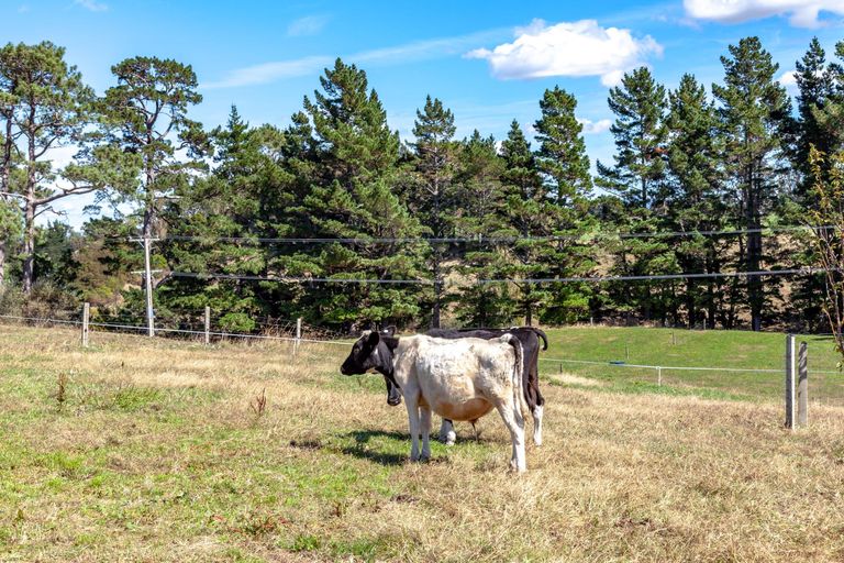 Photo of property in 1156 Old Te Aroha Road, Okauia, Matamata, 3471