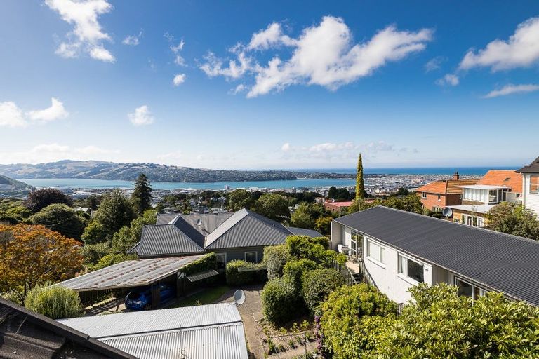 Photo of property in 14 Garfield Avenue, Roslyn, Dunedin, 9010