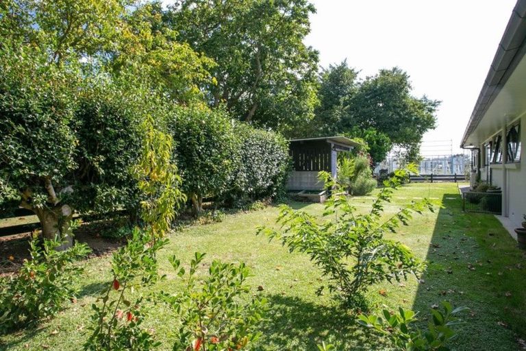 Photo of property in 14 Eldonwood Drive, Matamata, 3400