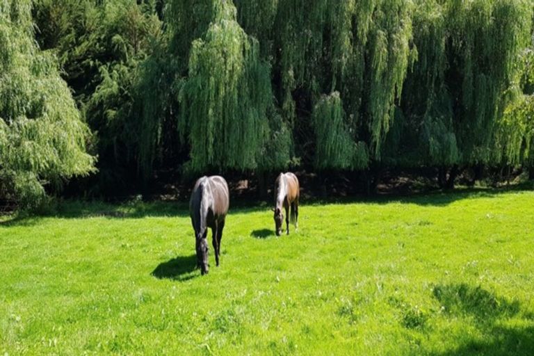 Photo of property in 114 Veritys Road, Maungati, Cave, 7984