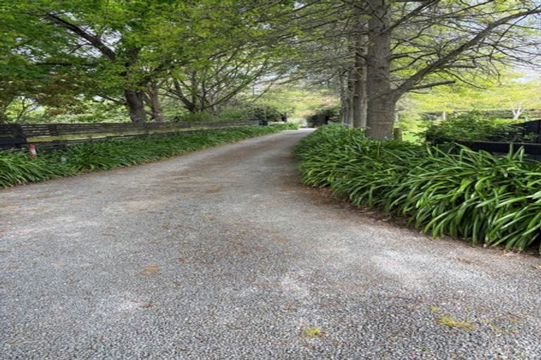 Photo of property in 5 Newton Place, Amberley, 7410
