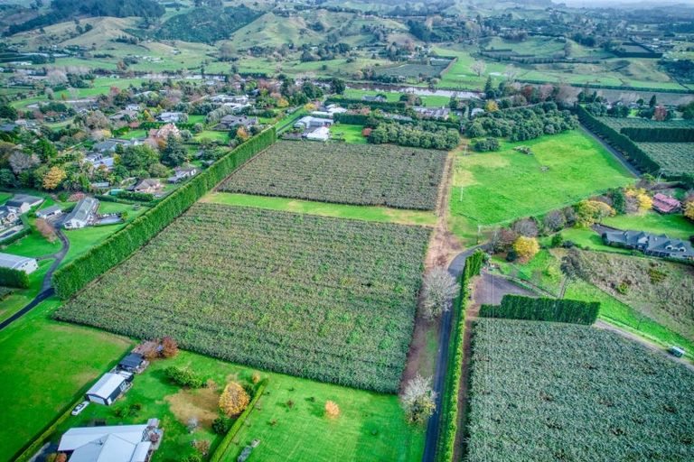 Photo of property in 36 Echo Valley Way, Tauriko, Tauranga, 3110