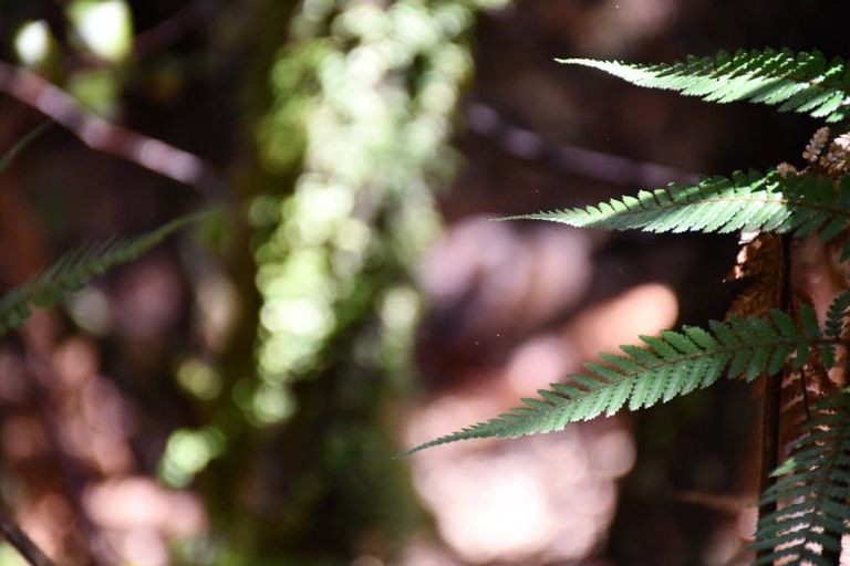 Photo of property in 78b Eco Place, Little Wanganui, Karamea, 7893