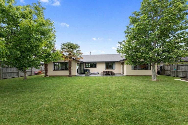 Photo of property in 15 Waipuna Street, Mayfield, Blenheim, 7201