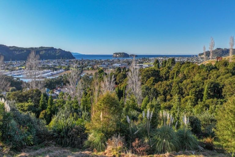 Photo of property in 113 Te Pamahue Drive, Whangamata, 3620