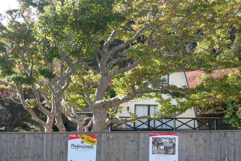 Photo of property in 21 Montgomery Street, Stokes Valley, Lower Hutt, 5019