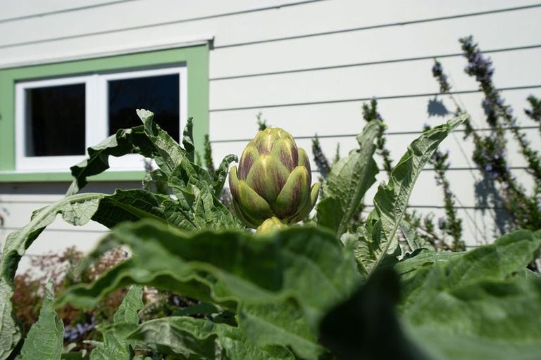 Photo of property in 45 George Street, Hikurangi, 0114