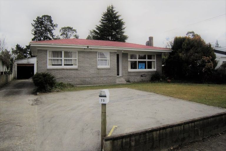 Photo of property in 75 Bruce Avenue, Glenview, Hamilton, 3206