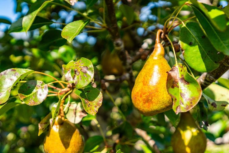 Photo of property in 64b Jack Boyd Drive, Mangawhai Heads, Kaiwaka, 0573