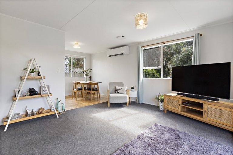 Photo of property in 3 Loasby Place, Greytown, 5712