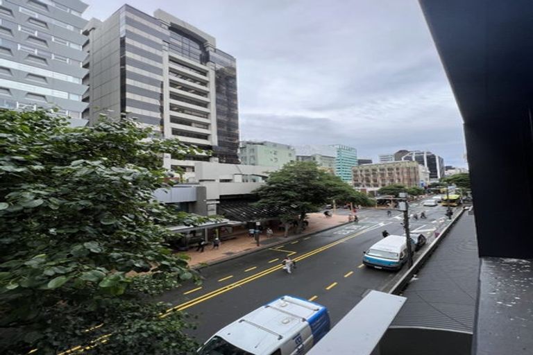 Photo of property in Gerondis Bldg Apartments, 201/60 Willis Street, Wellington Central, Wellington, 6011