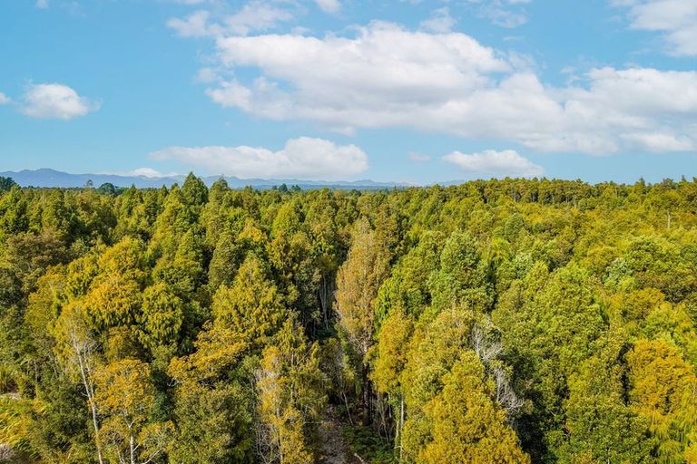 Photo of property in 5 Sadler Place, Kumara Junction, 7882