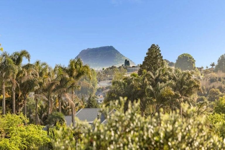 Photo of property in 337 Cambridge Road, Tauriko, Tauranga, 3110
