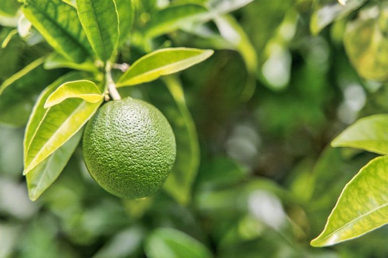 Photo of property in 41 Vale Road, Riverside, Whangarei, 0112