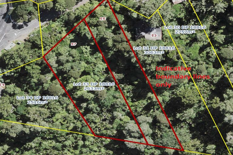 Photo of property in 55 Kauri Loop Road, Oratia, Auckland, 0604