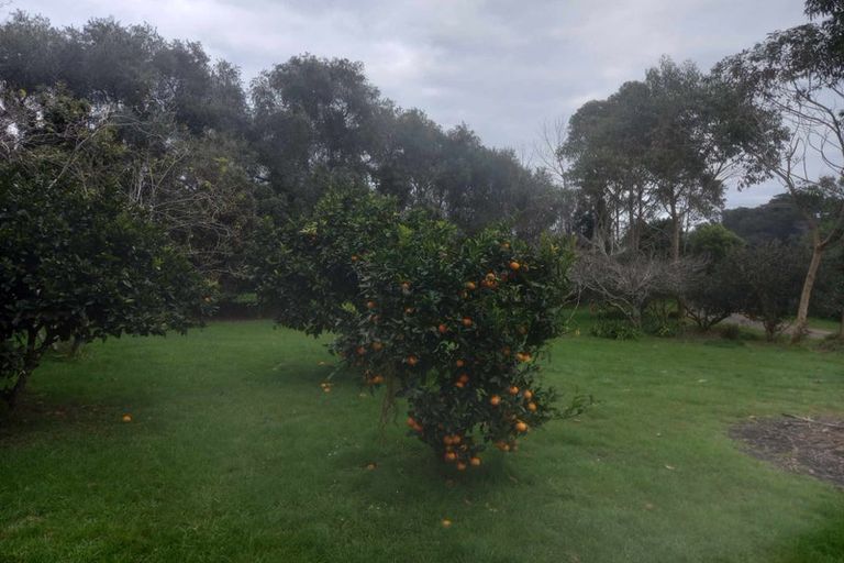 Photo of property in 277 Kuaotunu Wharekaho Road, Kuaotunu, Whitianga, 3592