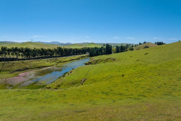 Photo of property in 363 Caseys Road, Lake Grassmere, Seddon, 7285