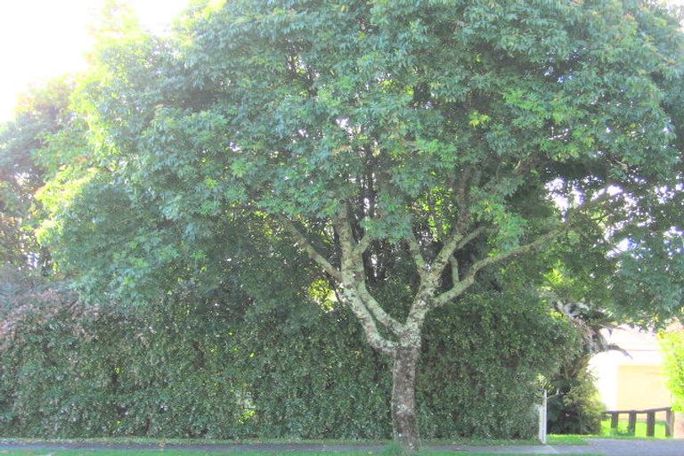 Photo of property in 40 Baird Road, Tokoroa, 3420