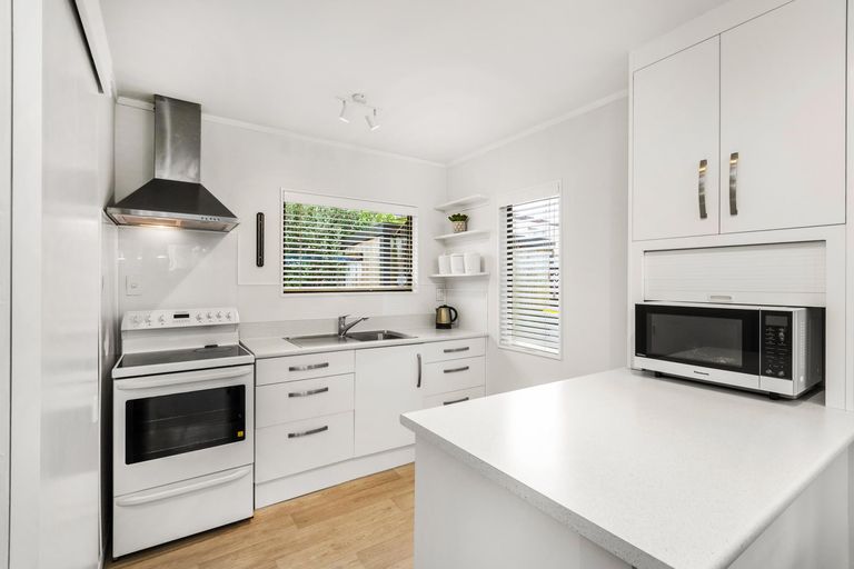 Photo of property in 99b Nixon Street, Hamilton East, Hamilton, 3216