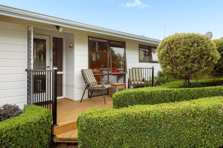 Photo of property in 16 Burns Street, Gate Pa, Tauranga, 3112