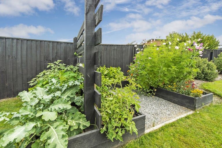 Photo of property in 67 Manse Road, Leeston, 7632