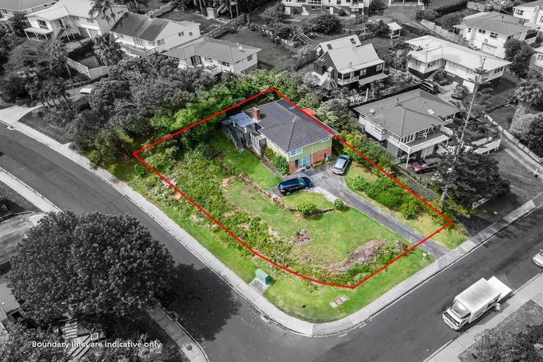 Photo of property in 21 Tilden Avenue, Hillcrest, Auckland, 0627