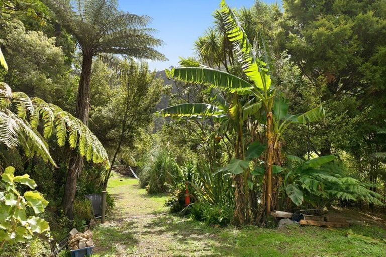 Photo of property in 294 Tapu Coroglen Road, Tapu, Thames, 3575