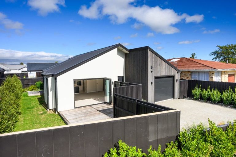 Photo of property in 46 Napier Road, Terrace End, Palmerston North, 4410