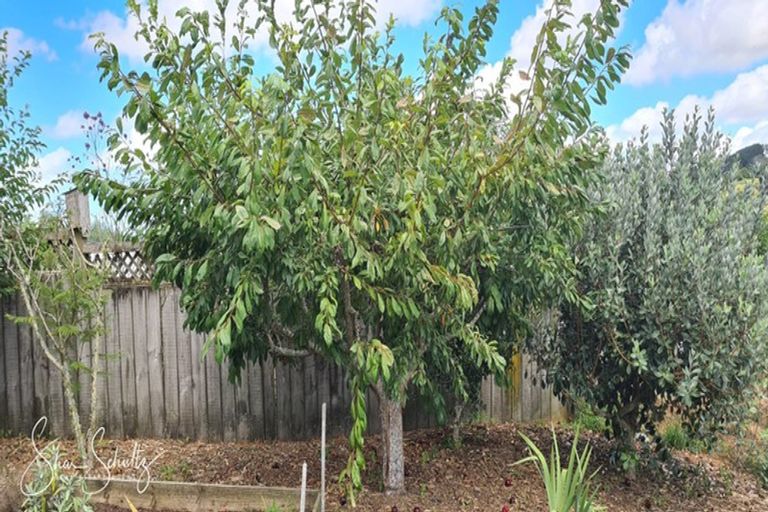 Photo of property in 6 Ash Grove, Maungaturoto, 0520